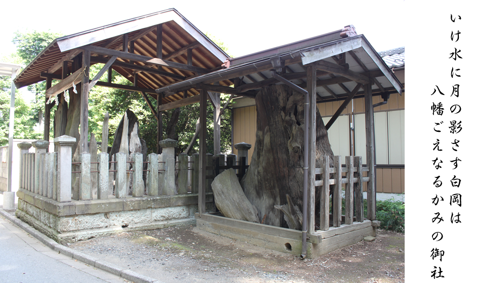 いけ水に月の影さす白岡は八幡ごえなるかみの御社