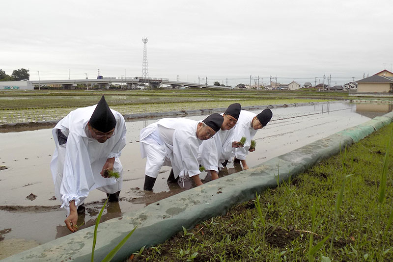 御田植祭