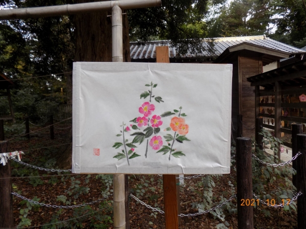 DSCN2708