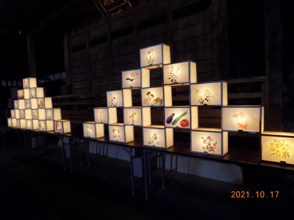 DSCN2722